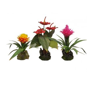Lucky Reptile Jungle Plants kvitnúce Bromélia purpurová cca 30 cm (UŠPINENÁ)