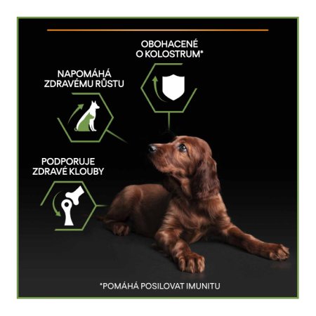 Pro Plan Large Puppy Athletic kura 12 kg (POŠKODENÝ OBAL)