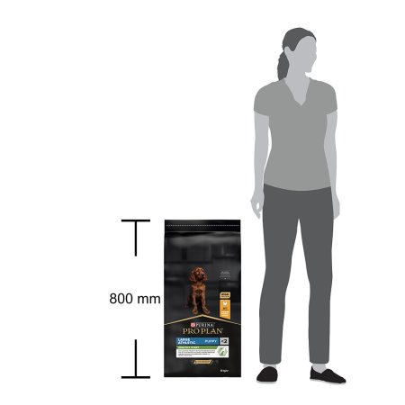 Pro Plan Large Puppy Athletic kura 12 kg (POŠKODENÝ OBAL)