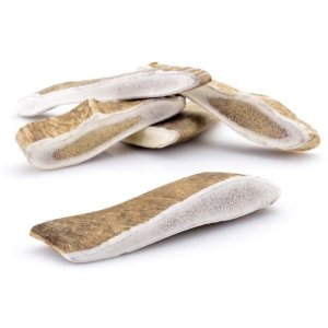 ZVERKY Odmena pre psov Dančí paroh celý L