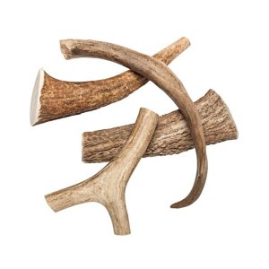 ZVERKY Odmena pre psov Jelenie parohy celý L