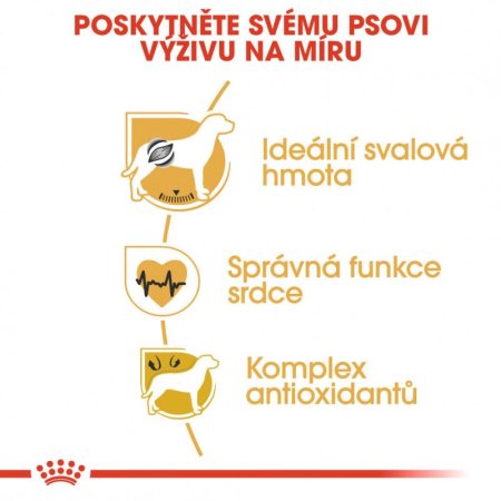 Royal Canin Boxer 12 kg (POŠKODENÝ OBAL)