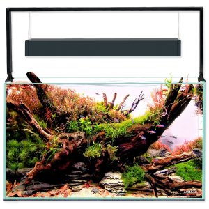 Set Aquael akvarijní Ultrascape 60 forest, 64,8l