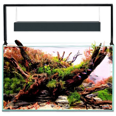 Set Aquael akvarijní Ultrascape 60 forest, 64,8l