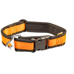 PROFIZOO Obojok popruh JEDNOBAREVNÝ (40 mm x 43 - 74 cm) oranžová
