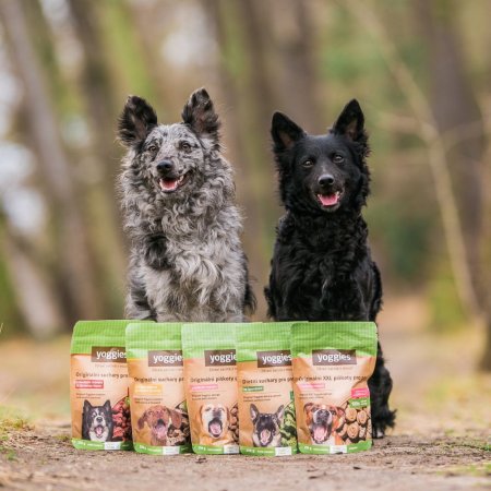 Yoggies sucháre s lososom a mrkvou 150g