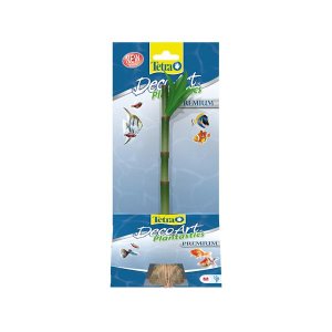 Rastlina Asian Bamboo M (UŠPINENÁ)