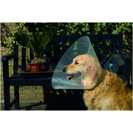 Beeztees Golier pre psov 44-50x25cm (PRASKLÝ)