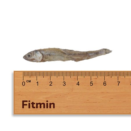 Fitmin For Life Sušené ančovičky, rybí pamlsek pro psy a kočky 50 g