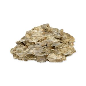 Dekorácia Rataj kameň Dragon rock L 2-4kg, 25-35cm