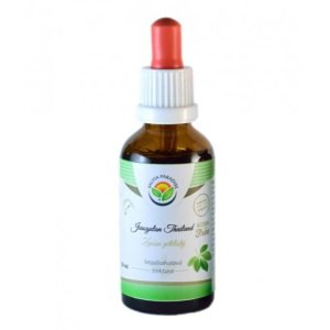 Salvia Paradise Jiaogulan Thailand pre psov a mačky - Tinktúra balenia 30 ml