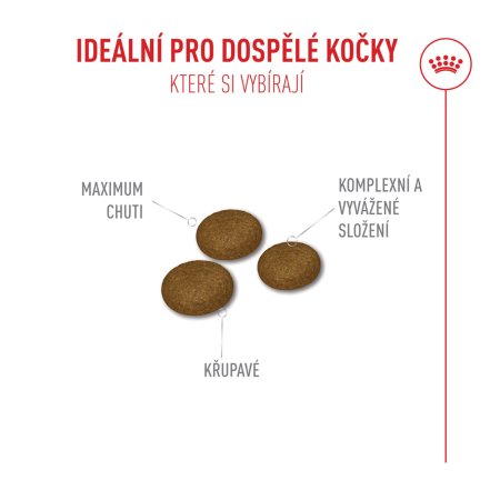 Royal Canin Fussy Exigent 10 kg