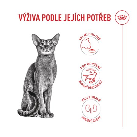 Royal Canin Fussy Exigent 10 kg