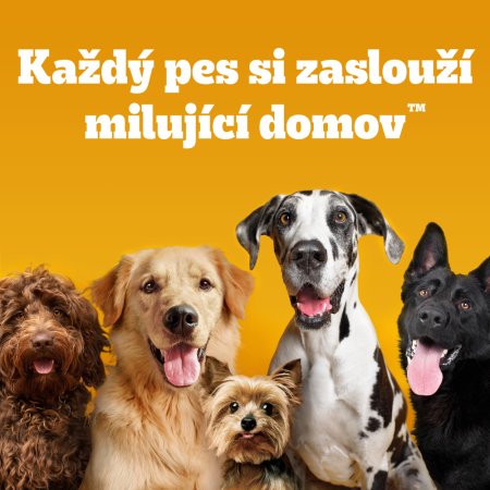 Pedigree granule M/L Junior hydinová so zeleninou 500 g (EXPIRÁCIA 03/2026)
