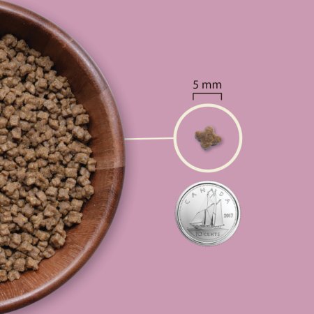 ACANA KITTEN 1,8 kg