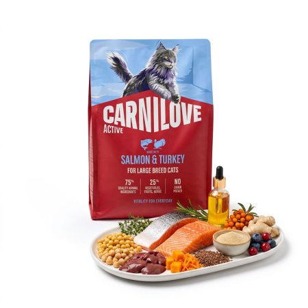 Carnilove Active Cat Dry Made with Salmon & Turkey for Adult Large Breeds 2 kg