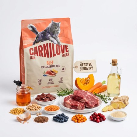 Carnilove True Fresh Cat Dry Beef pre Adult Large Breeds 400 g
