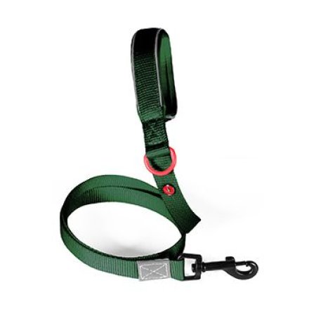 Vodítko pes PREMIUM nylon 15mm/1,2m tm.zelená Zolux