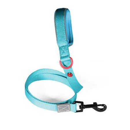 Vodítko pes PREMIUM nylon 15mm/1,2m tyrkysová Zolux