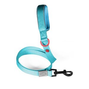Vodítko pes PREMIUM nylon 25mm/1,2m tyrkysová Zolux