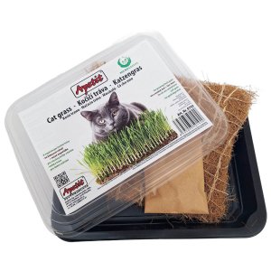 Apetit - Kočičí tráva - s pěstební miskou a kokosovou rohoží, semínka 30 g