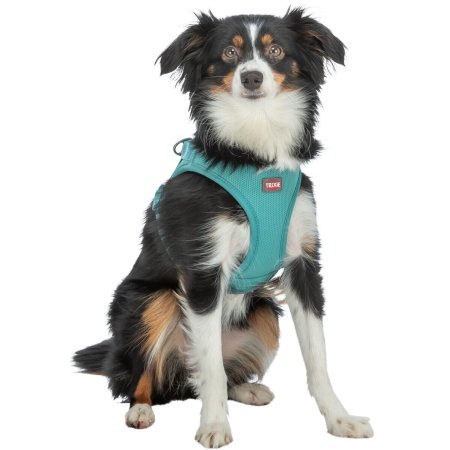 UrbanVest postroj, XXS-XS: 34-37 cm/15 mm, aqua