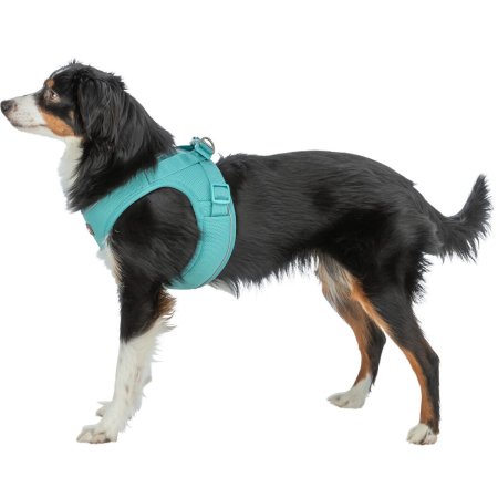 UrbanVest postroj, S–M: 53–56 cm/20 mm, aqua