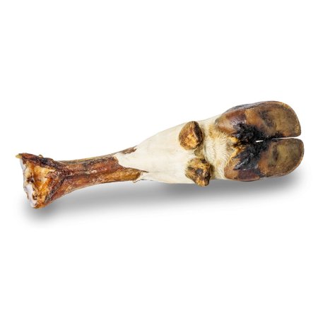 Hovězí noha s kůží a paznechty 40 cm