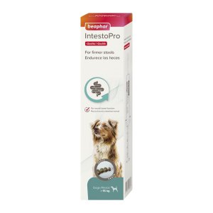 Pasta Beaphar IntestoPro L pro velké psy 2x 20ml (EXPIRACE 05/2026)