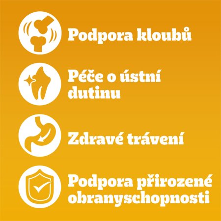 Pedigree granule Senior drůbeží se zeleninou 3 kg