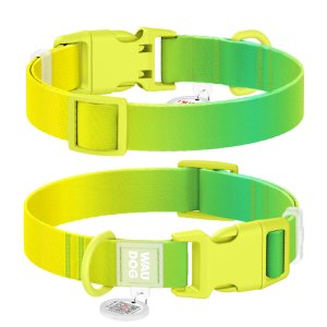 WAUDOG obojok nylon Gradient zeleno-žltý QR (M/28-40cm/2cm)