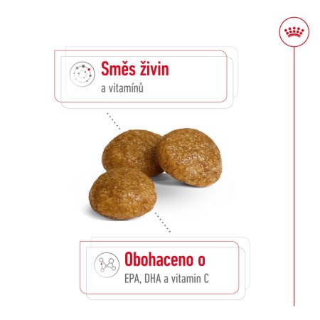 Royal Canin X-Small Adult 8+ 500 g