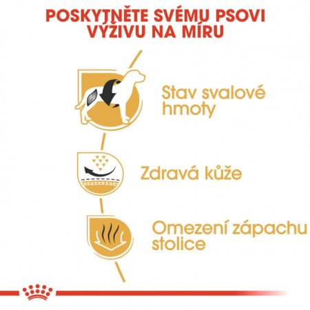 Royal Canin Francúzsky Buldoček 3 kg