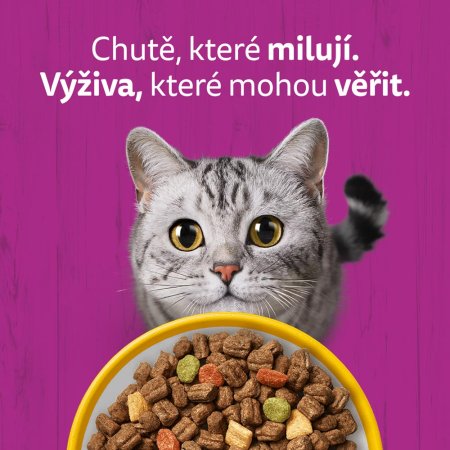 Whiskas granule s kuřecím 3,8 kg