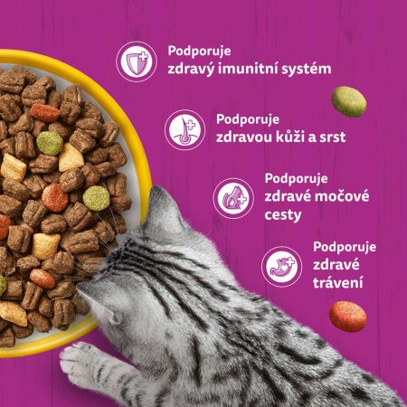 Whiskas granule s kuřecím 3,8 kg