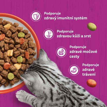 Whiskas granule s hovězím 300 g