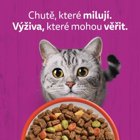 Whiskas granule s hovězím 300 g