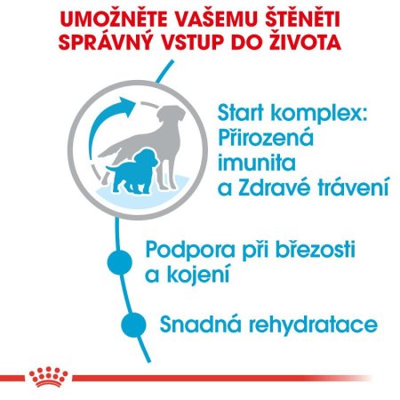 Royal Canin Medium Starter 1 kg