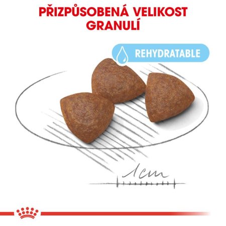 Royal Canin Medium Starter 1 kg