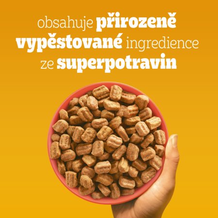 Pedigree granule M/L Adult hovädzie so zeleninou 12 kg (POŠKODENÝ OBAL)