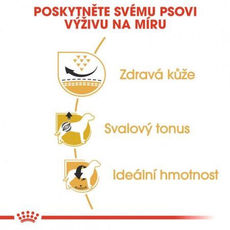Royal Canin Mops 1,5 kg