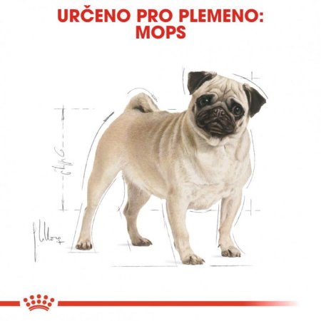 Royal Canin Mops 1,5 kg
