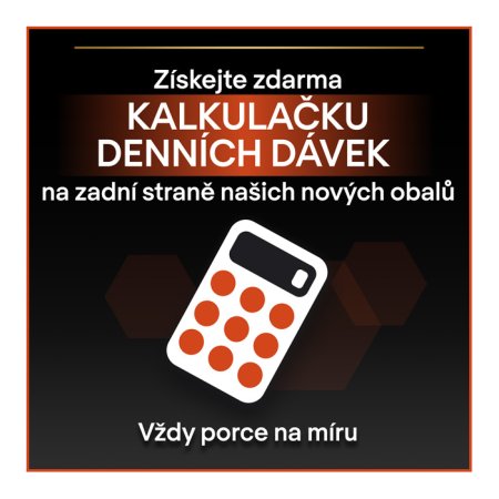 Pro Plan Cat Adult losos 10 kg