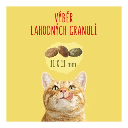 Friskies Indoor Cats s kuraťom a zeleninou 10 kg