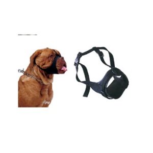 Náhubok fixačný pes Ferplast BOXER 25-34cm 1ks