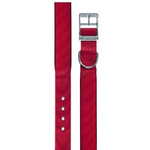 Obojok nylon DAYTONA C 45cmx25mm červený FP 1ks