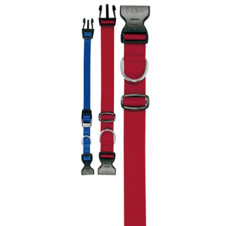 Obojok nylon CLUB C 44cmx15mm červený FP 1ks