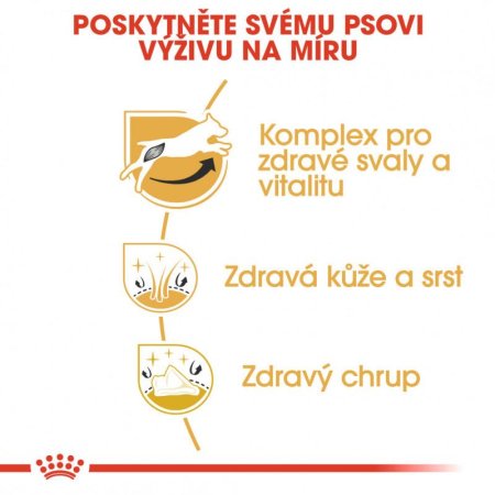 Royal Canin Jack Russel 1,5 kg