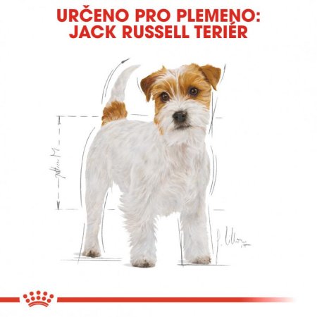 Royal Canin Jack Russel 1,5 kg