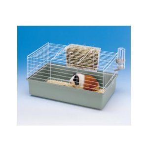 Klietka morča CAVIE 60 59x36x30cm FP 1ks